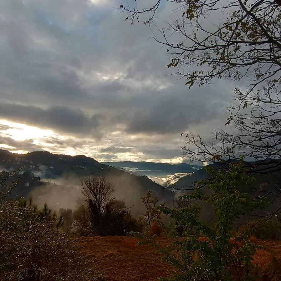 Thakur Homes- Couple And Family Friendly Homestay Shimla Luaran gambar