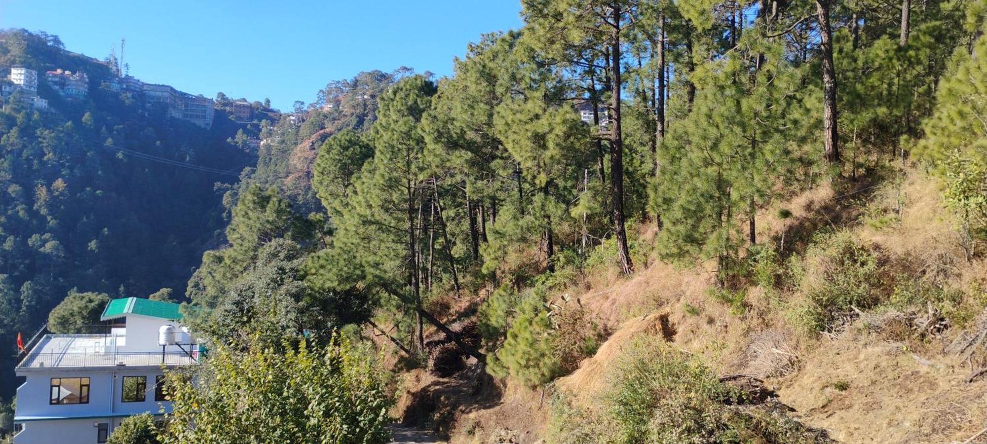 Thakur Homes- Couple And Family Friendly Homestay Shimla Luaran gambar