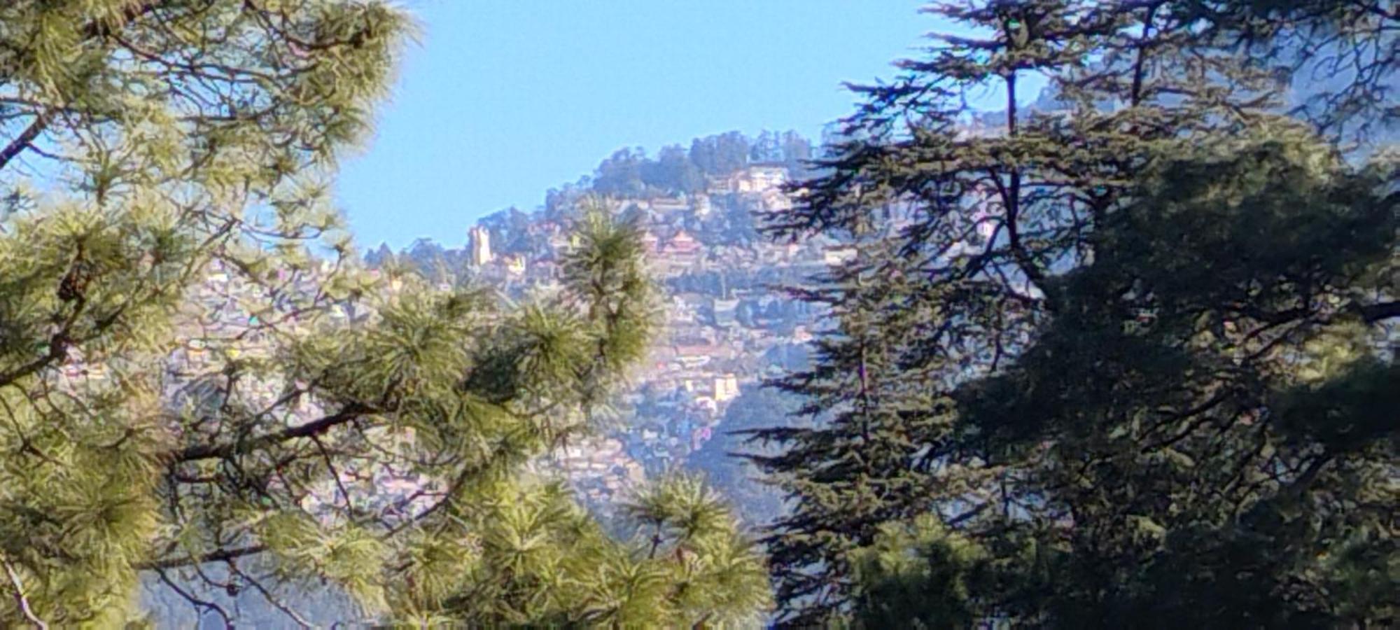 Thakur Homes- Couple And Family Friendly Homestay Shimla Luaran gambar