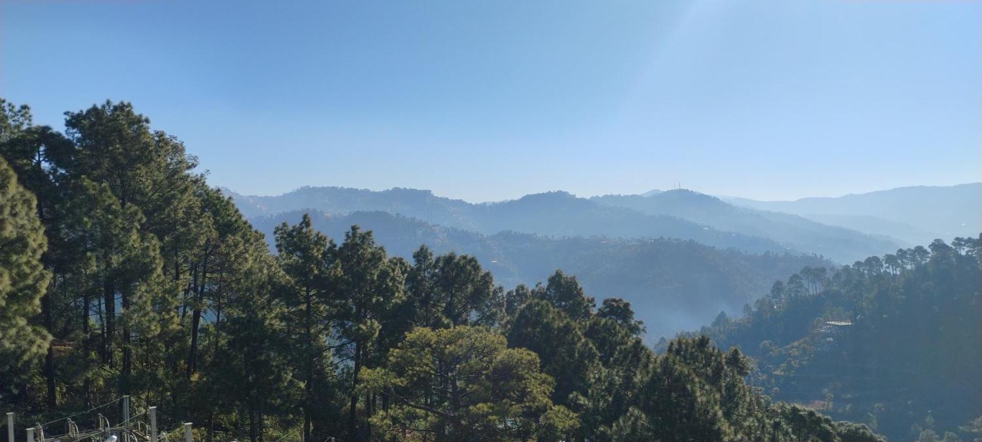 Thakur Homes- Couple And Family Friendly Homestay Shimla Luaran gambar