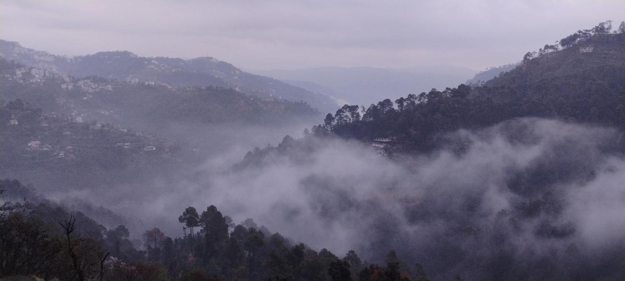 Thakur Homes- Couple And Family Friendly Homestay Shimla Luaran gambar